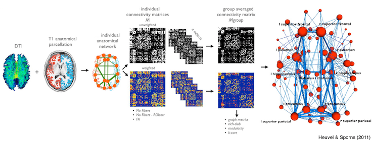 Network Graph Method Overview: MRI to connectivity matrix to brain network plot